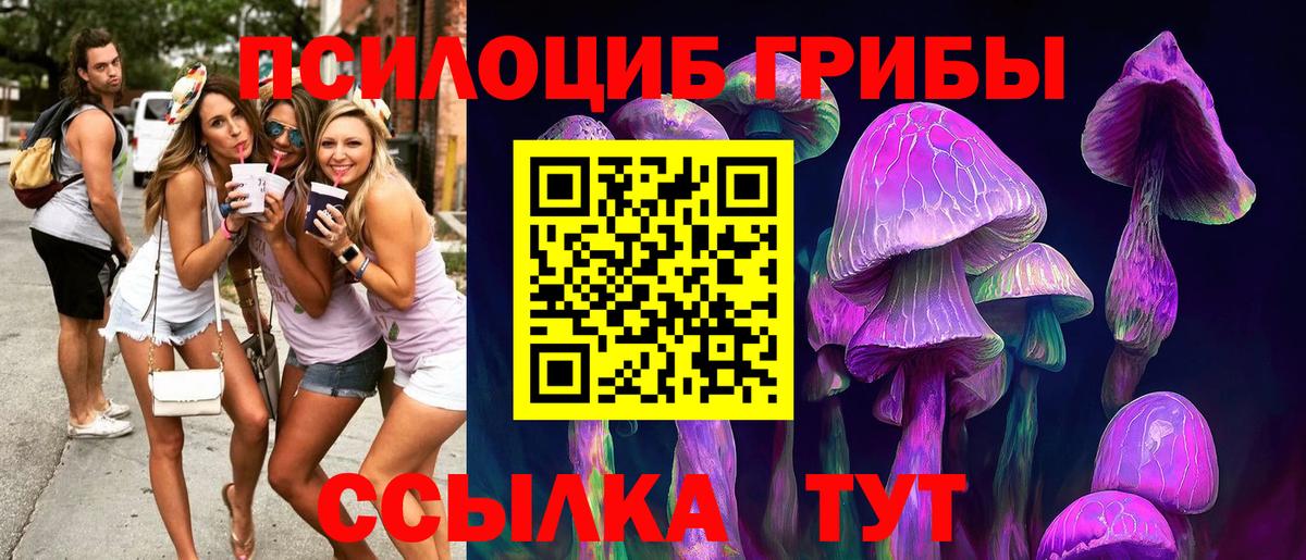 что такое   Вход с VPN  Канаш  Псилоцибиновые грибы Psilocybe 